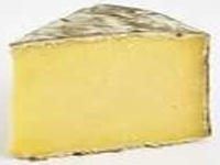 single gloucester