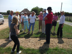 Glebe Farm - Flock 246