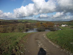 Glwydwern - Flock 152